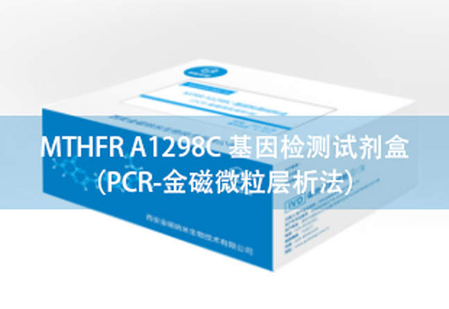 MTHFR A1298C 基因检测试剂盒